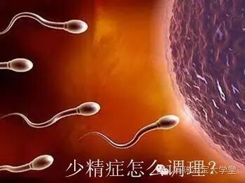不怀孕?也许是男性弱精症!-怀孕期