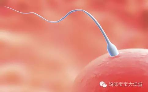 40歲的男人怎樣提升精子質量