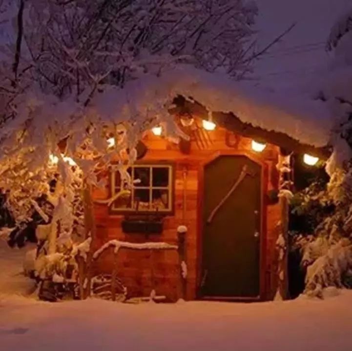 今日大雪,至此而雪盛