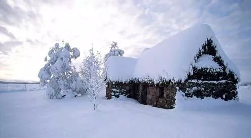 今日小雪,凉风盛装出席