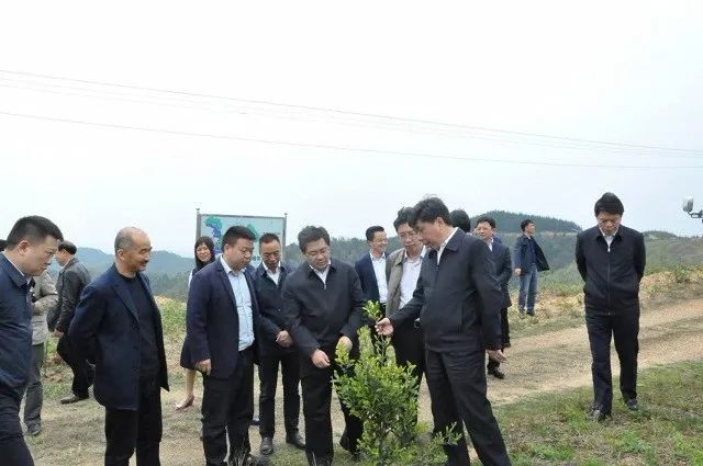 闲厦时光·客户厦门4日游 【博阳安泰】头条丨乌兰赴衡阳调研,博泰