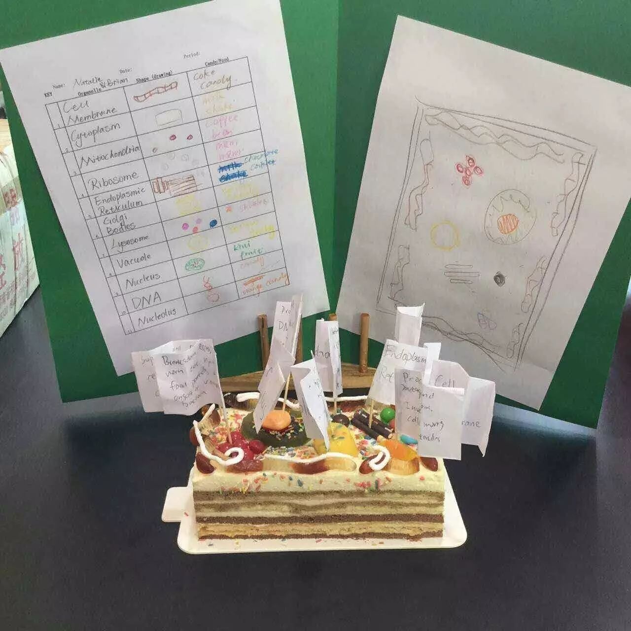 DIY生物模型蛋糕，ILTexas-FLS学生爱上生物��?华师附外国际领袖高中课程 (7).jpg