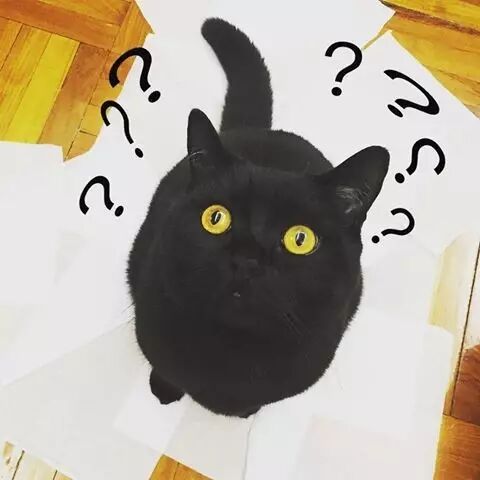 ʮҷͷĹȴҵ˾꾹ȻҲ