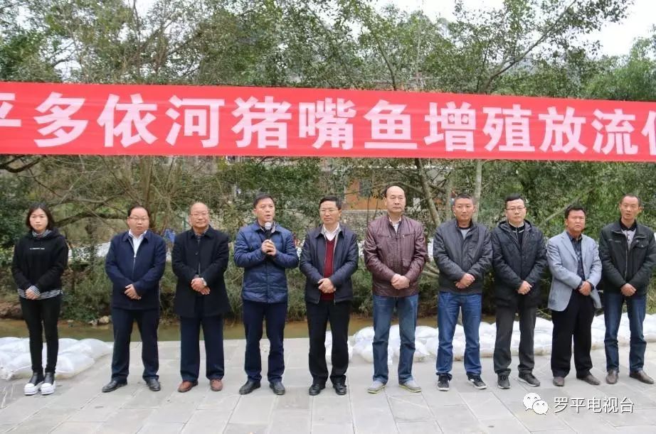 【重庆水产养殖基地交流组】罗平:多依河增值放流10万条猪嘴鱼鱼苗