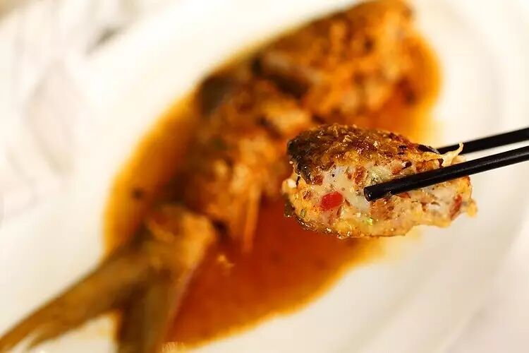 鱼系_蜂鸟7系探鱼器_济州真柏与系鱼川真柏