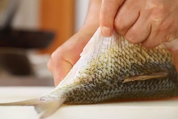 鱼系_蜂鸟7系探鱼器_济州真柏与系鱼川真柏