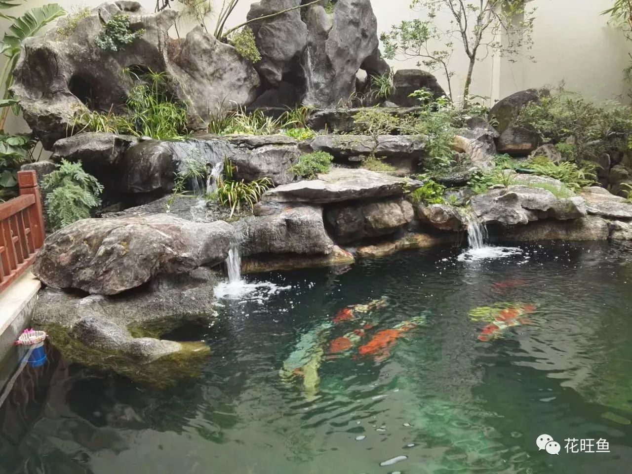 庭院锦鲤鱼池的风水设计方案