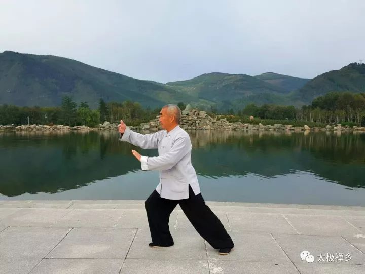 杨式太极嫡亲傅宗元,赵斌学拳,后又正式拜太极宗师傅钟文为师,全面