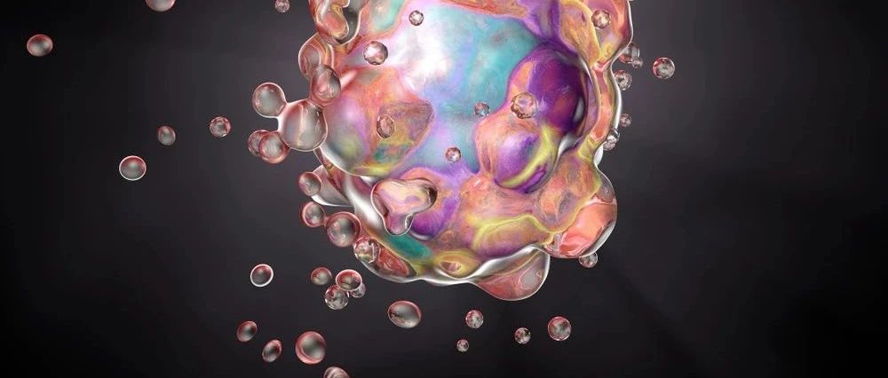 邵峰院士又一力作,Science 研究揭示细胞毒性淋巴细胞诱发细胞焦亡全新机制