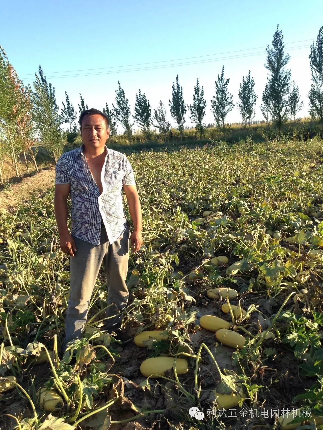 为什么别人家都在打葫芦,他家却按兵不动?富硒葫芦在胜丰响应国家号召,怀起了二胎.-怀孕期