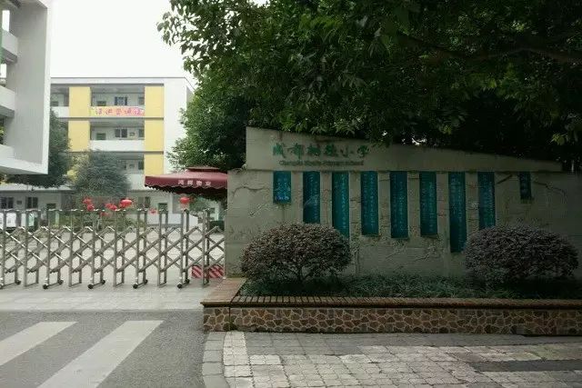 成都树德中学外国语校区,锦江外国语小学,城市大观小学,蓉城小学,艾毅