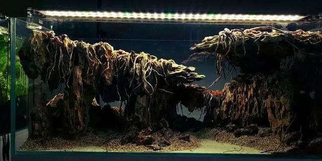 石头造景鱼缸_鱼缸 石头造景_鱼缸白石头怎么造景的
