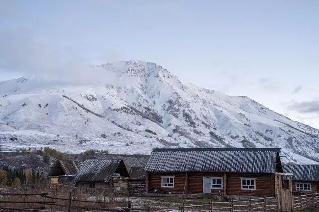 雪中禾木