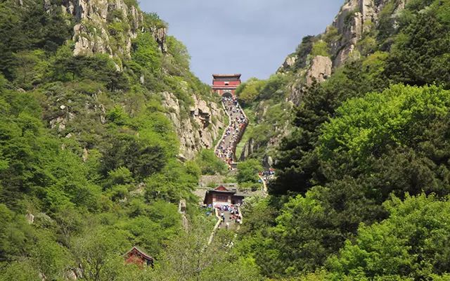 泰山
