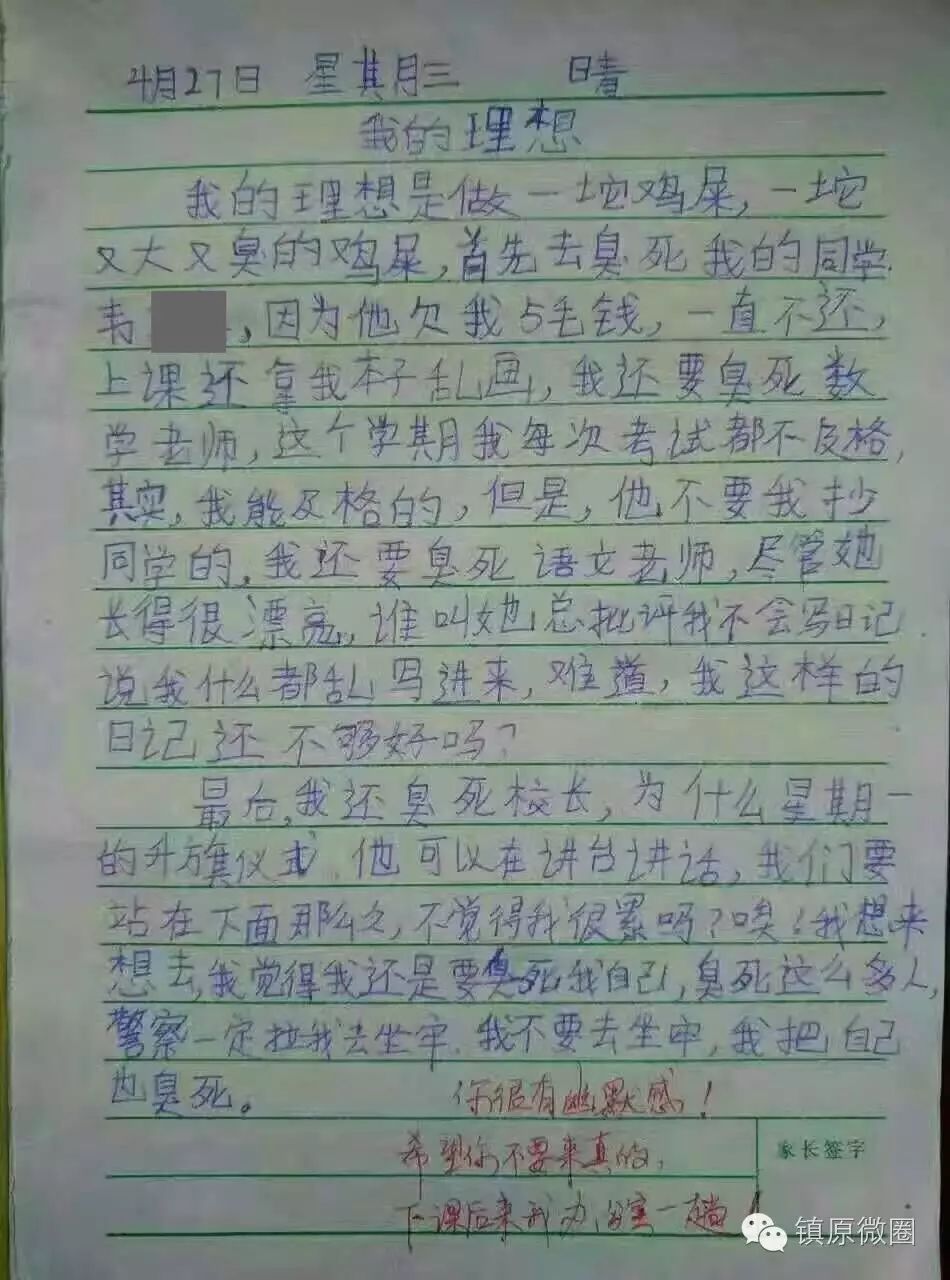 我的理想是做一坨鸡屎