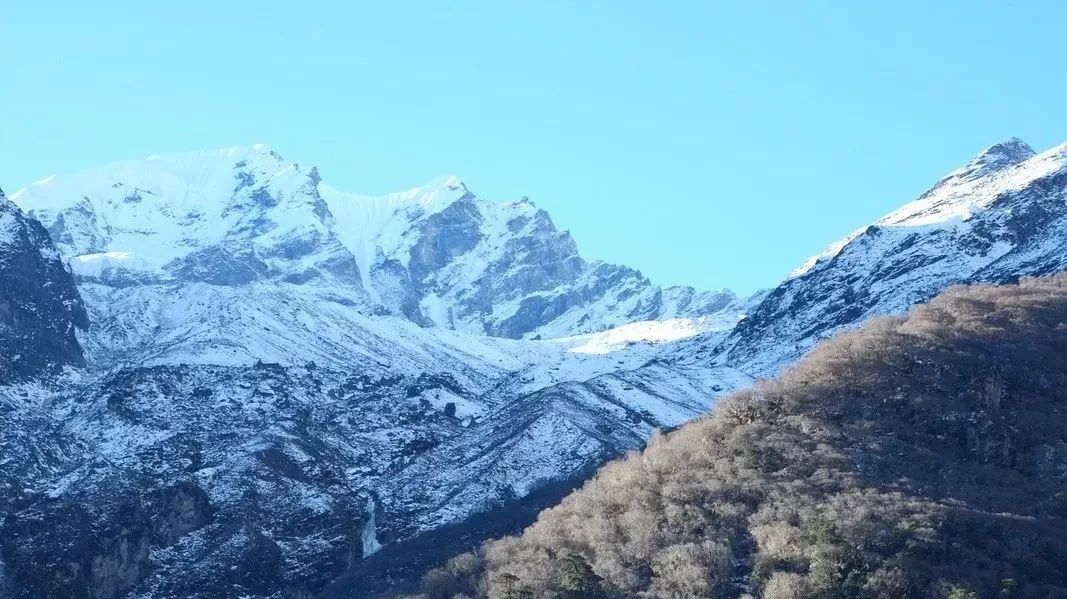 郎塘 | 一场两年修复的梦