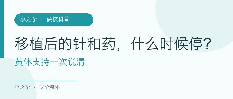 黄体支持封面