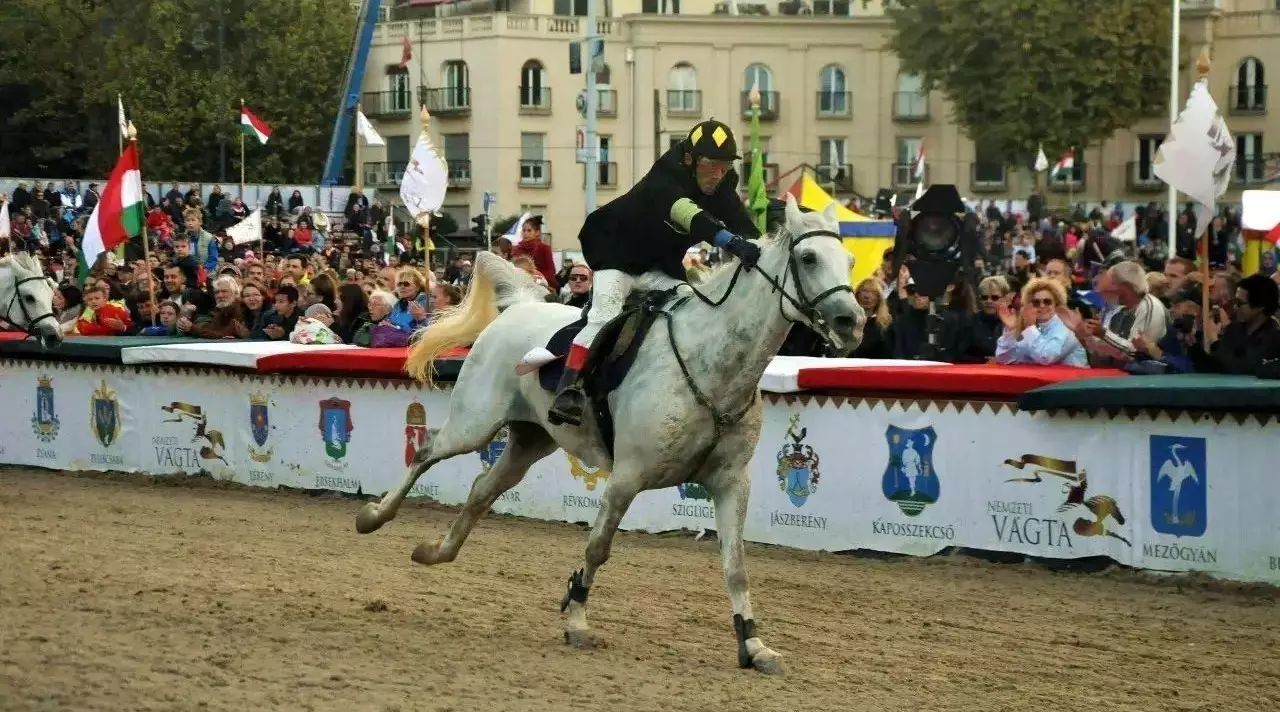 【海外冠军】中国骑师赢得匈牙利国家大赛马!