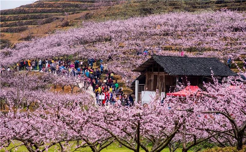 地址:岑巩县客楼镇白家坝村大龙塘 丹寨县龙泉山景区 龙泉山(尤公山)