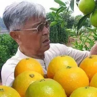 褚时健去世，神秘数字道尽他一生……