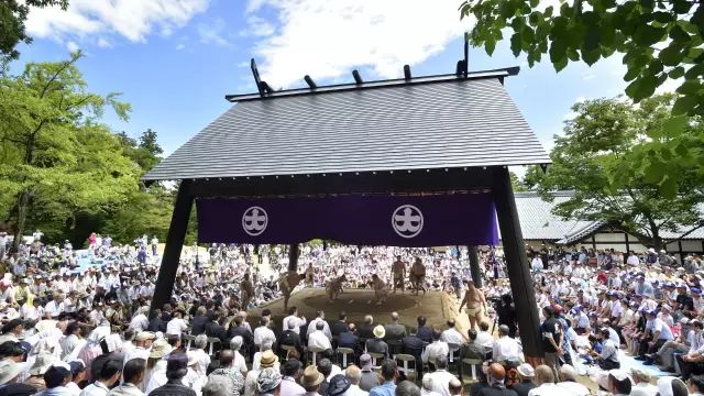 弥彦神社 相扑场