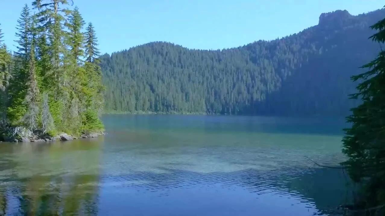 收录于合集⭐排箫《夏恋》，聆听夏日的细语！