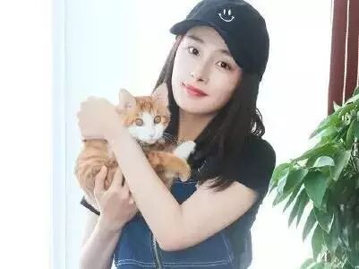 鹿晗杨幂赵丽颖...原来都是酱紫的铲屎官!