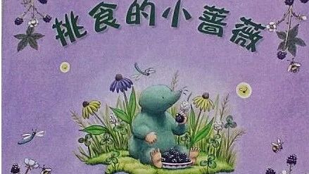 No.1128◄)):挑食的小蔷薇