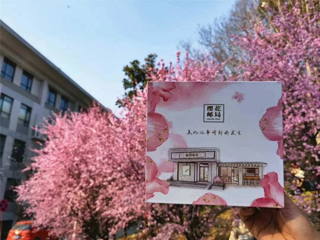 樱花限定全新樱花邮局此刻绽放在樱花中等你来
