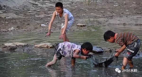 鲶鱼昂刺怎么钓_刺鱼鲶鱼哪里钓_刺须鲶鱼哪里钓
