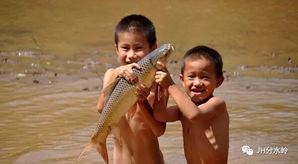 刺鱼鲶鱼哪里钓_鲶鱼昂刺怎么钓_刺须鲶鱼哪里钓