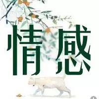 黄义达:每个为梦想坚持的人都应该被歌颂