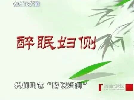 百家讲坛《竹林七贤》06 请君入彀⭐百家讲坛《竹林七贤》合集-6