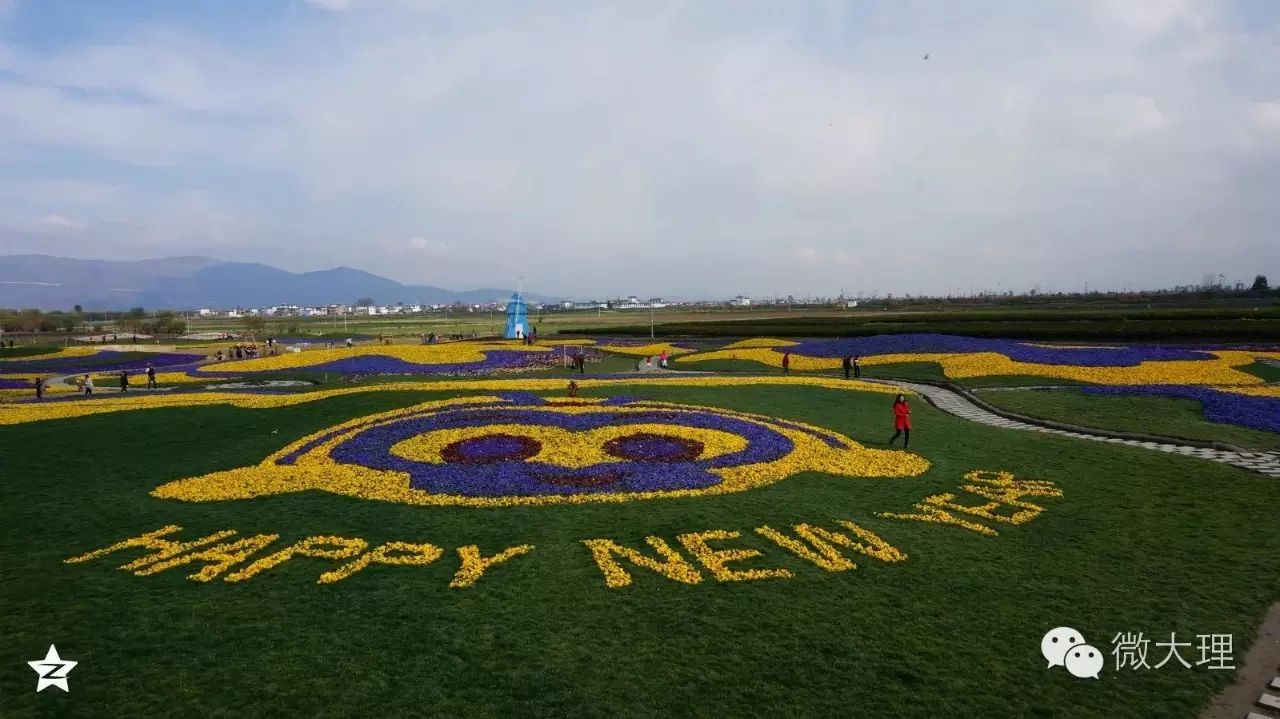 云海芳草花卉园春季实景