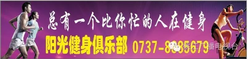 致富养鸡散养鸡技术_养鸡致富经_致富新项目养鸡