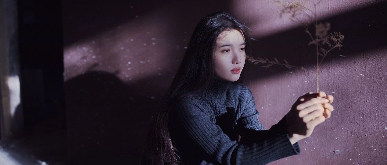 言情丨《恰似寒光遇骄阳》作者:囧囧有妖