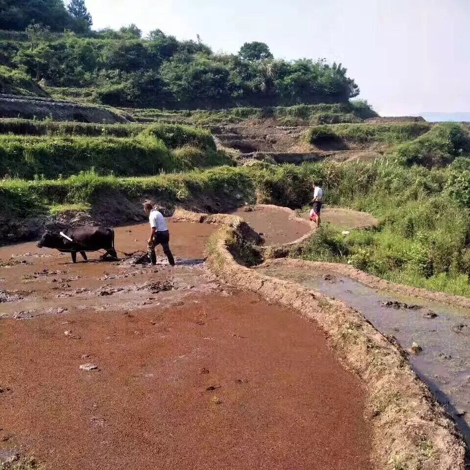 月收入10万+，原来这么简单！