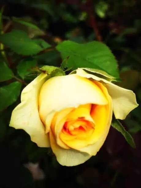 玉林新闻综合频道直播_广西兴业县属于哪个市_安徽庐县下午几点吃饭