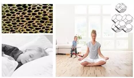 飞美地板 东方卫视《梦想改造家》,二胎时代的静音环保空间!-怀孕期