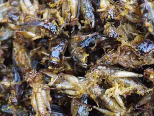 油煎蜘蛛,香味扑鼻,比蚕蛹唯美.