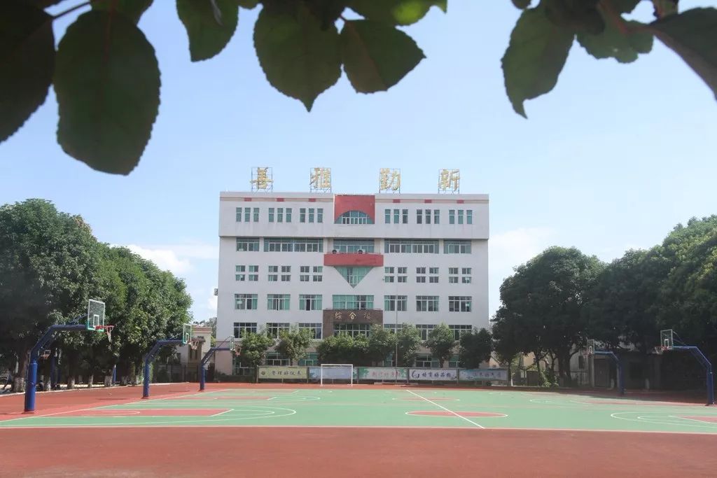 杨仙逸中学的美是飘逸的~   树底下拍出来照片也有一种仙气