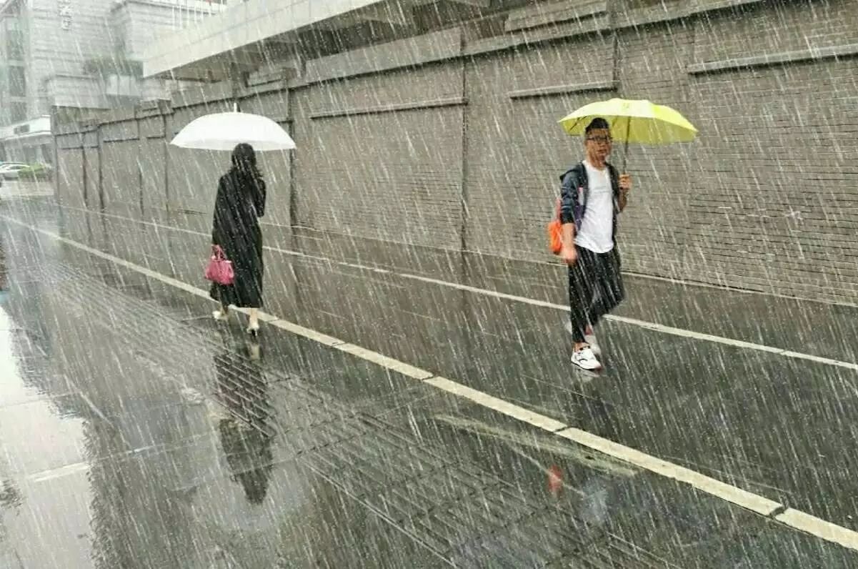 《雨中行》