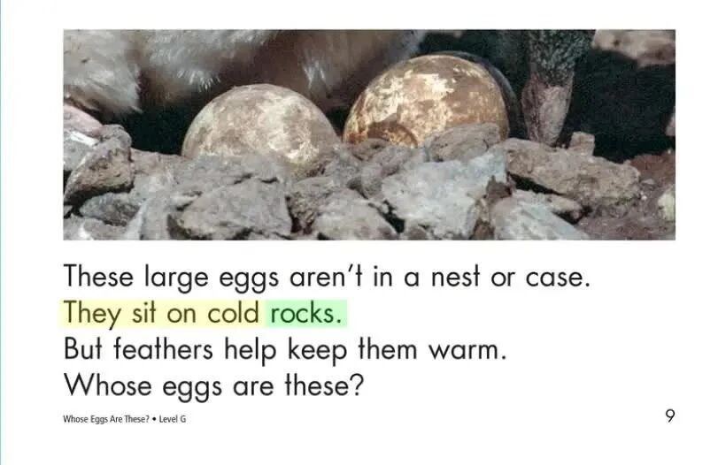 RAZ-G级: 76 Whose Eggs Are These-1