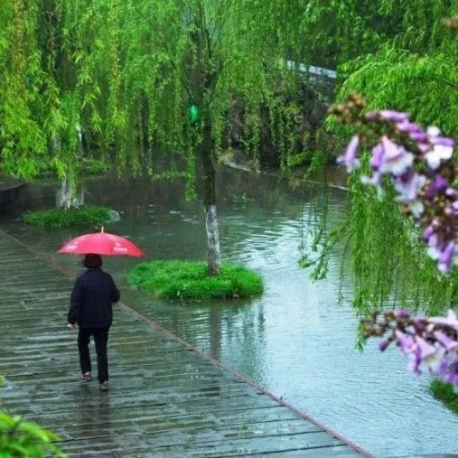 夏雨,岁月里的诗情