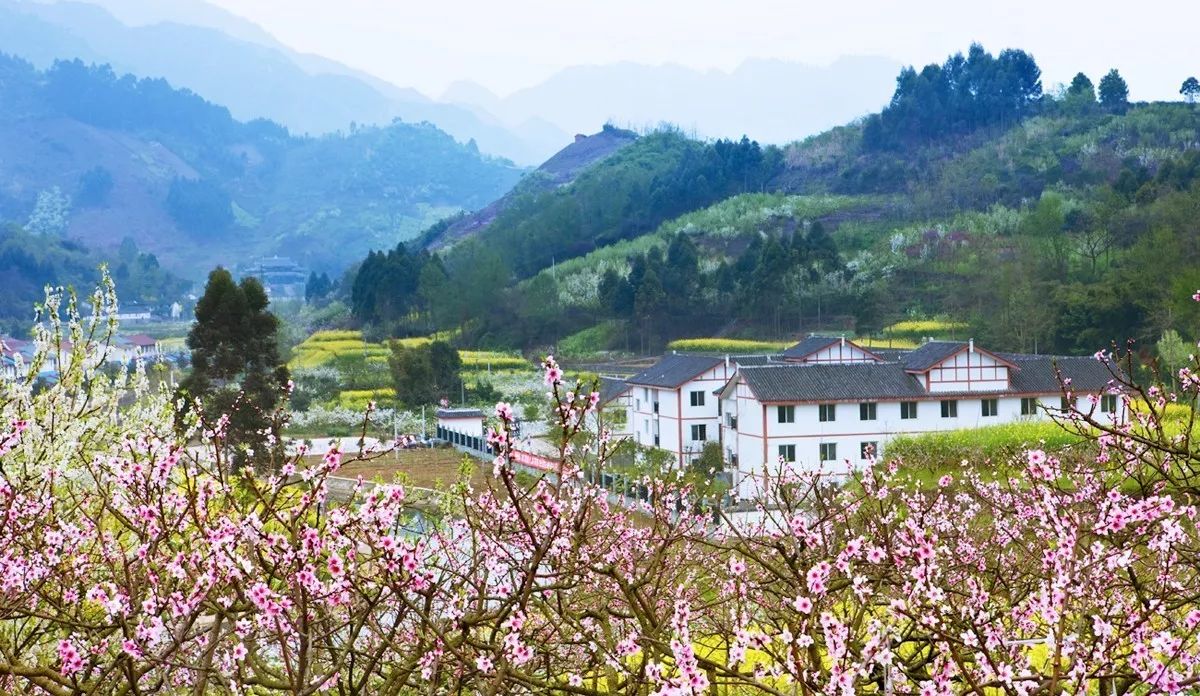 10月7日:day-7 葛仙山-仙山花谷-冰川瀑布-千年银杏-彼岸花海 夜宿
