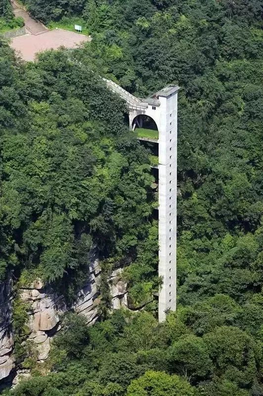 持彭州身份证,居然就能免费畅玩碧峰峡野生动物园!