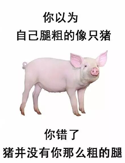 你以为自己腿粗得像猪……