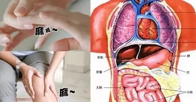 手臂经常麻、小腿容易抽筋是怎么回事？