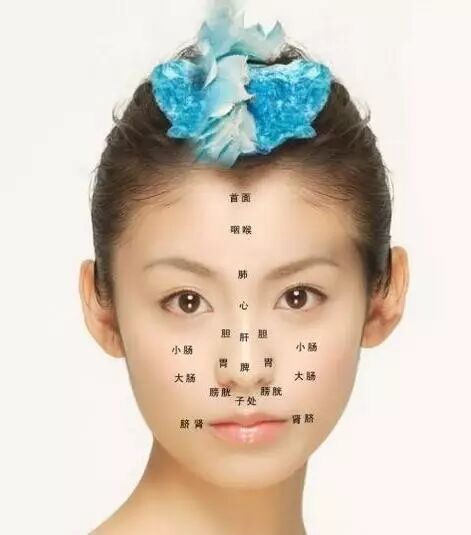 美容师必备：面诊专业知识！