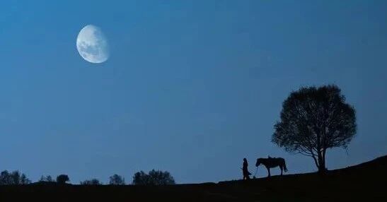 【老电影】《黄飞鸿义取丁财炮》（1974）